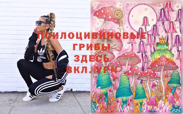 jwh Каменск-Шахтинский