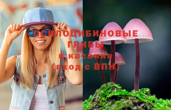 не бодяженный Каменка