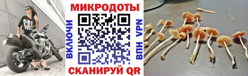 Псилоцибиновые грибы прущие грибы  Купить  Железногорск-Илимский 
